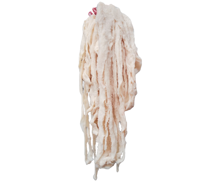 Tripa Orilla Recta Calibre 5055